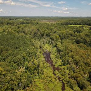 Photo #5 of (tract C) Brassfield, Creedmoor, NC 22.4 acres