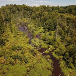 Photo #8 of (tract C) Brassfield, Creedmoor, NC 22.4 acres