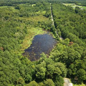 Photo #12 of (tract C) Brassfield, Creedmoor, NC 22.4 acres
