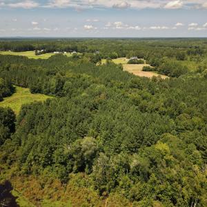 Photo #4 of (tract C) Brassfield, Creedmoor, NC 22.4 acres