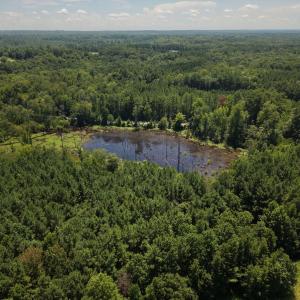 Photo #7 of (tract C) Brassfield, Creedmoor, NC 22.4 acres