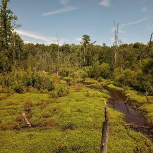 Photo #10 of (tract C) Brassfield, Creedmoor, NC 22.4 acres