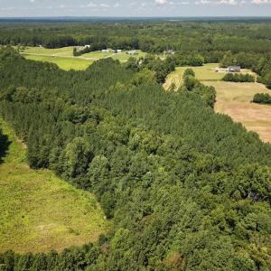 Photo #3 of (tract C) Brassfield, Creedmoor, NC 22.4 acres