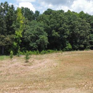 Photo #2 of 3808 Peaceful Creek, Zebulon, NC 2.0 acres