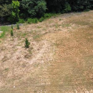 Photo #3 of 3808 Peaceful Creek, Zebulon, NC 2.0 acres