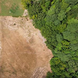 Photo #6 of 3808 Peaceful Creek, Zebulon, NC 2.0 acres
