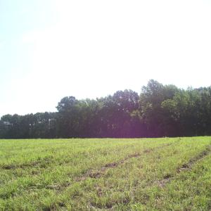 Photo #13 of 140 Bonnie Harris, Louisburg, NC 64.0 acres