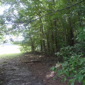 Photo #17 of 140 Bonnie Harris, Louisburg, NC 64.0 acres