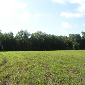 Photo #12 of 140 Bonnie Harris, Louisburg, NC 64.0 acres