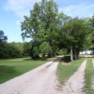 Photo #19 of 140 Bonnie Harris, Louisburg, NC 64.0 acres