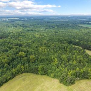 Photo #22 of 140 Bonnie Harris, Louisburg, NC 64.0 acres