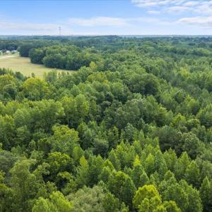 Photo #26 of 140 Bonnie Harris, Louisburg, NC 64.0 acres