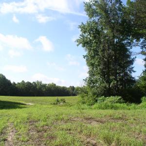 Photo #10 of 140 Bonnie Harris, Louisburg, NC 64.0 acres
