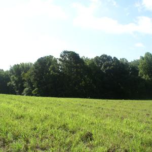Photo #6 of 140 Bonnie Harris, Louisburg, NC 64.0 acres