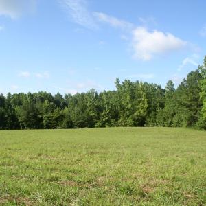 Photo #11 of 140 Bonnie Harris, Louisburg, NC 64.0 acres