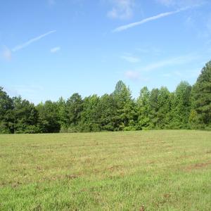 Photo #7 of 140 Bonnie Harris, Louisburg, NC 64.0 acres
