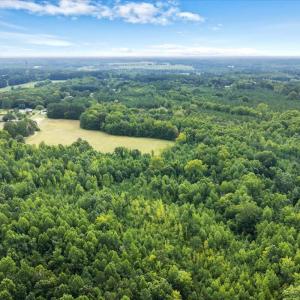 Photo #24 of 140 Bonnie Harris, Louisburg, NC 64.0 acres