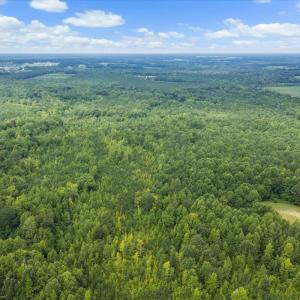 Photo #23 of 140 Bonnie Harris, Louisburg, NC 64.0 acres