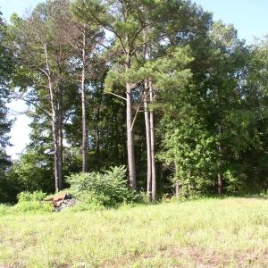 Photo #9 of 140 Bonnie Harris, Louisburg, NC 64.0 acres