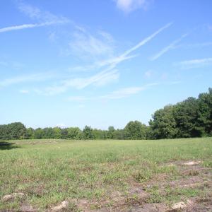 Photo #8 of 140 Bonnie Harris, Louisburg, NC 64.0 acres