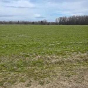 Photo #1 of Bethel Baptist, Spring Lake, NC 38.1 acres