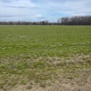 Photo #3 of Bethel Baptist, Spring Lake, NC 38.1 acres