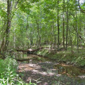 Photo #41 of Buckhorn Road, Bullock, NC 362.5 acres