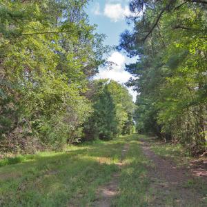 Photo #5 of Buckhorn Road, Bullock, NC 362.5 acres