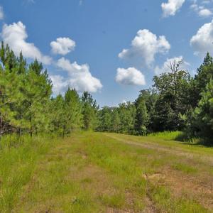 Photo #7 of Buckhorn Road, Bullock, NC 362.5 acres