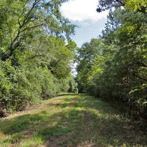Photo #3 of Buckhorn Road, Bullock, NC 362.5 acres