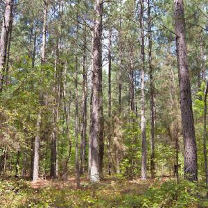 Photo #38 of Buckhorn Road, Bullock, NC 362.5 acres