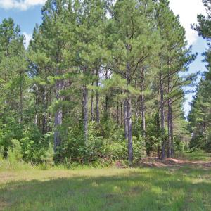 Photo #12 of Buckhorn Road, Bullock, NC 362.5 acres