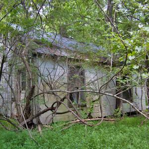 Photo #53 of Buckhorn Road, Bullock, NC 362.5 acres