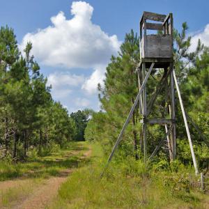 Photo #16 of Buckhorn Road, Bullock, NC 362.5 acres