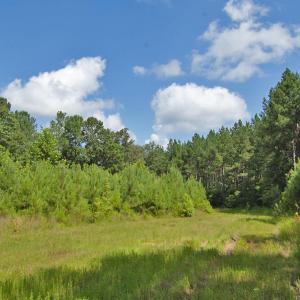 Photo #1 of Buckhorn Road, Bullock, NC 362.5 acres