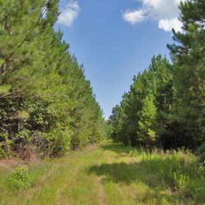 Photo #23 of Buckhorn Road, Bullock, NC 362.5 acres