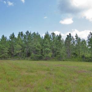 Photo #40 of Buckhorn Road, Bullock, NC 362.5 acres
