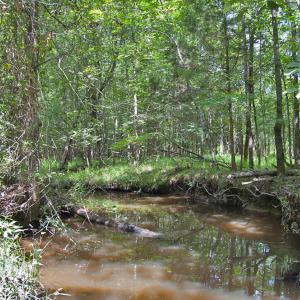 Photo #6 of Buckhorn Road, Bullock, NC 362.5 acres