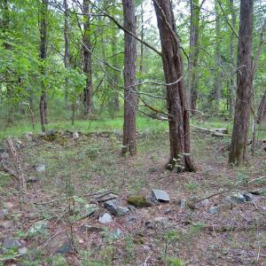 Photo #50 of Buckhorn Road, Bullock, NC 362.5 acres