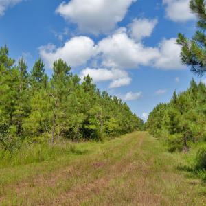 Photo #11 of Buckhorn Road, Bullock, NC 362.5 acres