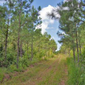 Photo #31 of Buckhorn Road, Bullock, NC 362.5 acres