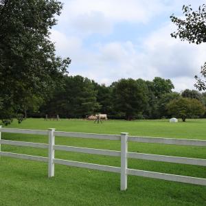 Photo #3 of 123 Holly Grove, Benson, NC 12.3 acres