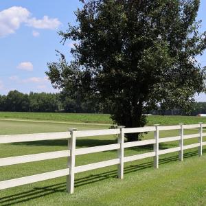 Photo #10 of 123 Holly Grove, Benson, NC 12.3 acres