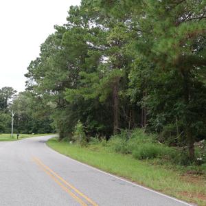 Photo #2 of 123 Holly Grove, Benson, NC 12.3 acres