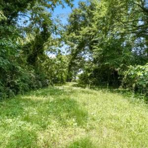 Photo #2 of 610 Elm, Goldsboro, NC 0.2 acres