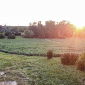 Photo #1 of 1222 Charlie Carr, Roxboro, NC 10.5 acres