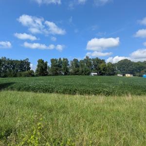 Photo #7 of 1222 Charlie Carr, Roxboro, NC 10.5 acres