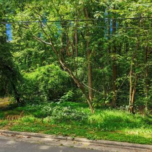 Photo #5 of 3020 Buckingham, Durham, NC 0.4 acres