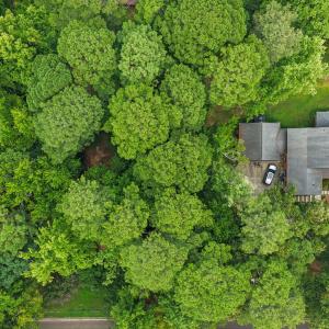 Photo #3 of 3020 Buckingham, Durham, NC 0.4 acres