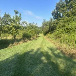Photo #16 of 647 Joe Brown, Bear Creek, NC 50.3 acres